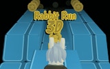 Rabbit Run 3D: Endless Arcade Runner