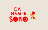 Cat Soko Puzzle Game