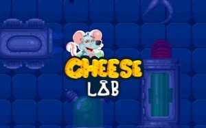 Mouse Cheese Maze Puzzle
