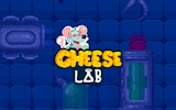 Mouse Cheese Maze Puzzle
