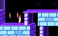Prince of Persia Classic Platformer Game Online