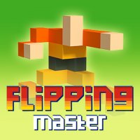 Flipping Master Adventure Arcade